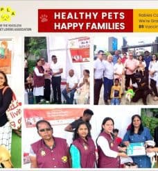 Healthy Pets Happy Families Rabies Camp & Pupper Party Success