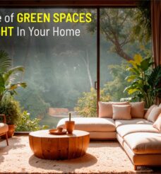 The Importance Of Green Spaces & Natural Light In Your Home